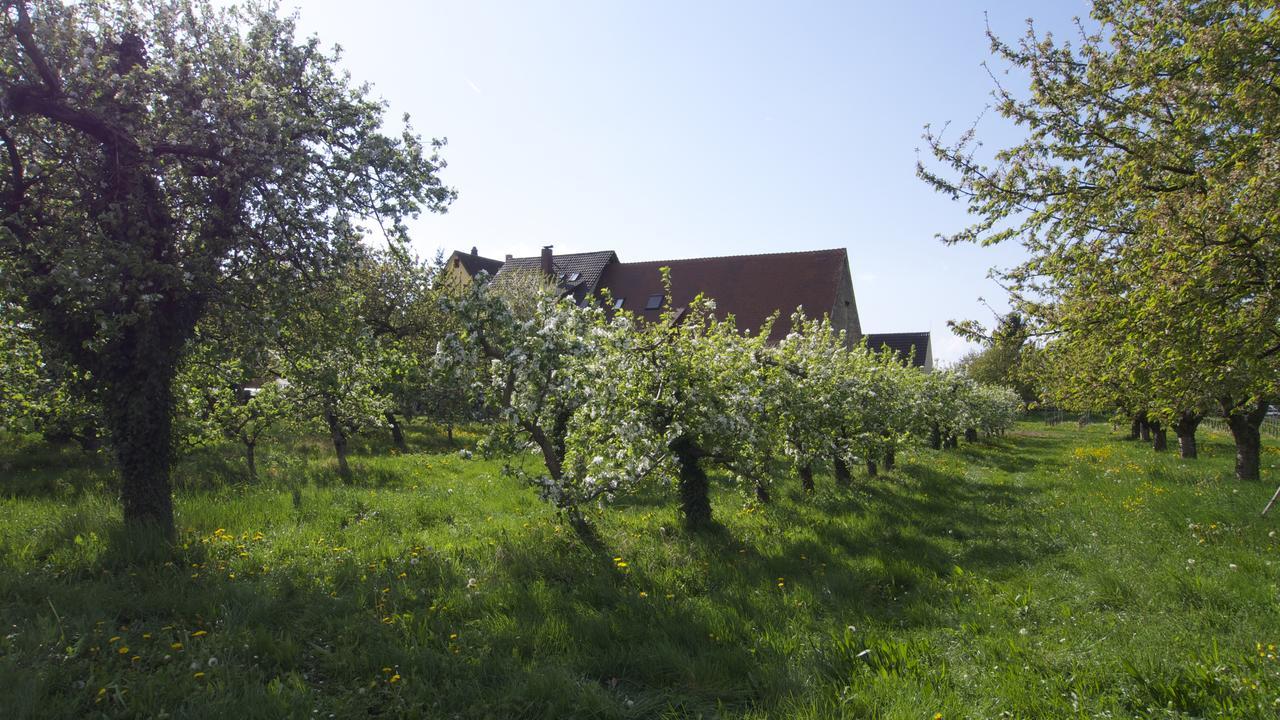 Buggingen Zum Schwanen Garni酒店 外观 照片